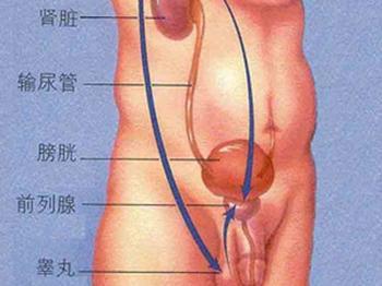 晨尿可以看出男人是否健康
